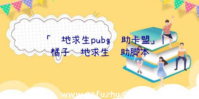 「绝地求生pubg辅助卡盟」|橘子绝地求生辅助脚本